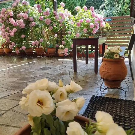 Eleni Studios
