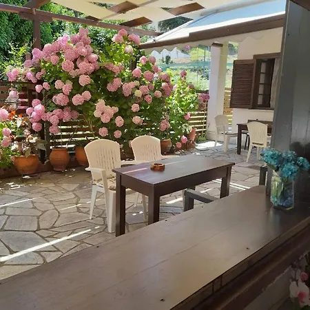 Pensionat Eleni Studios