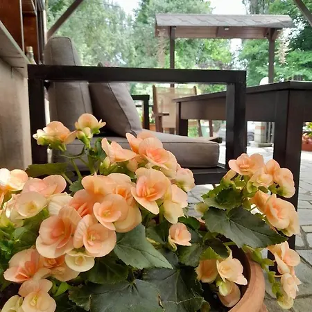 Eleni Studios Pensionat Agios Ioannis (Thessaly)