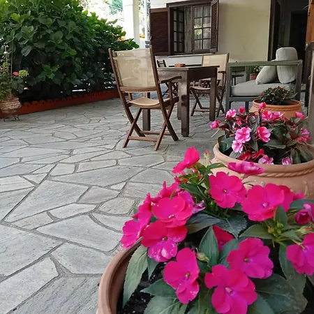 Eleni Studios *