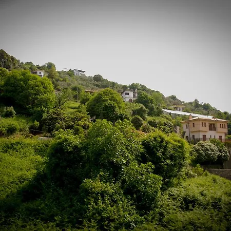 Eleni Studios Pensionat Agios Ioannis (Thessaly)