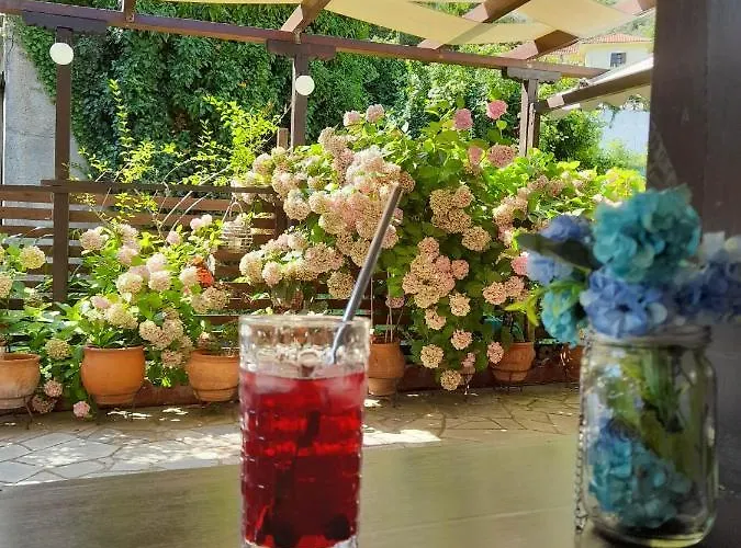 Eleni בית הארחה