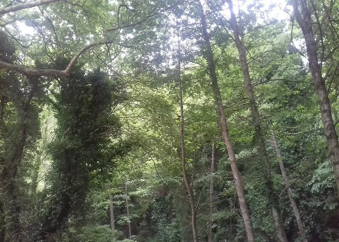 Eleni בית הארחה Agios Ioannis (Thessaly)