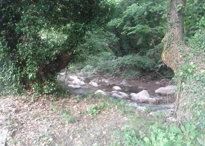 Eleni * Agios Ioannis (Thessaly)