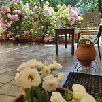 Eleni