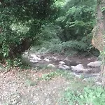 Eleni * Agios Ioannis (Thessaly)