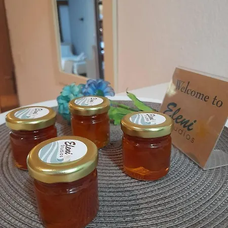 Eleni Studios Гостевой дом