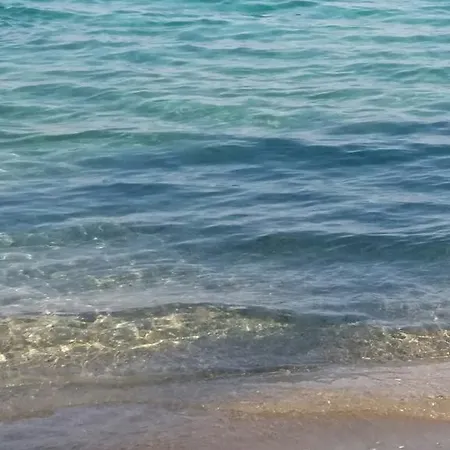 Eleni *