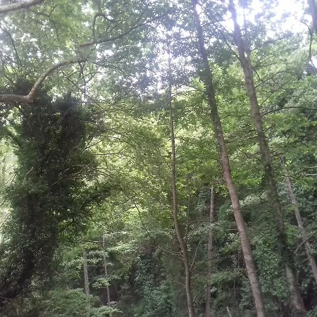 Eleni بيت ضيافة Agios Ioannis (Thessaly)