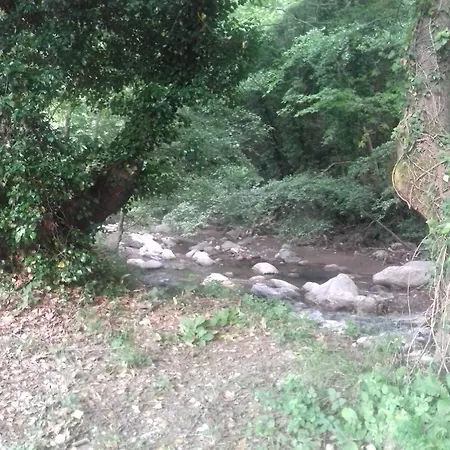 Eleni * Agios Ioannis (Thessaly)