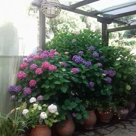 Eleni بيت ضيافة *