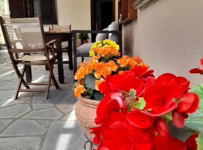 Eleni Agios Ioannis (Thessaly)